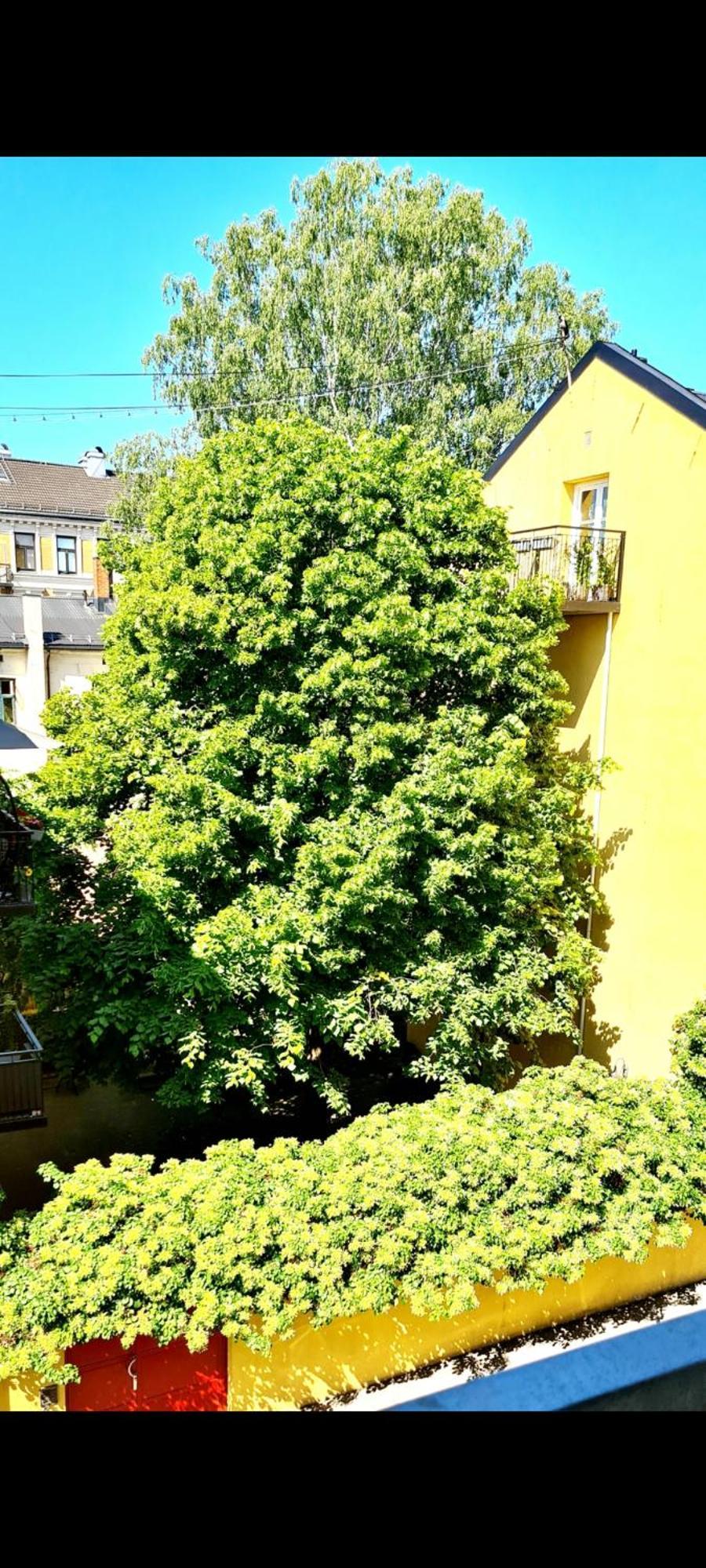 Modern Central Apartment Next To Beautiful Nature2424 Oslo Luaran gambar